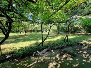 Αύλιος χώρος,