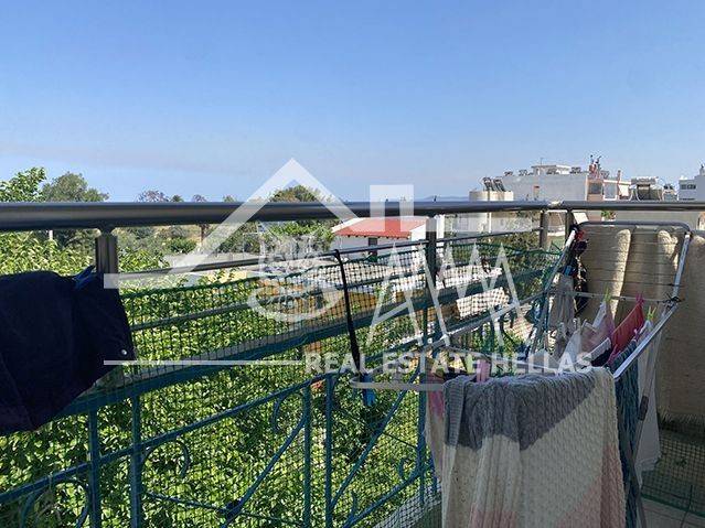 THea apo ten beranta