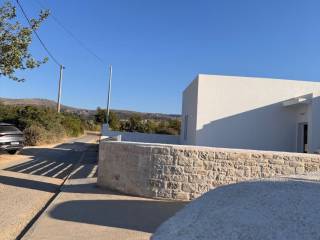 periphraxe me petrines lsptomeries