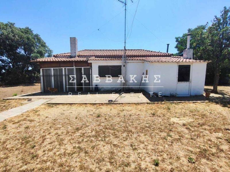 Εξωτερικός χώρος