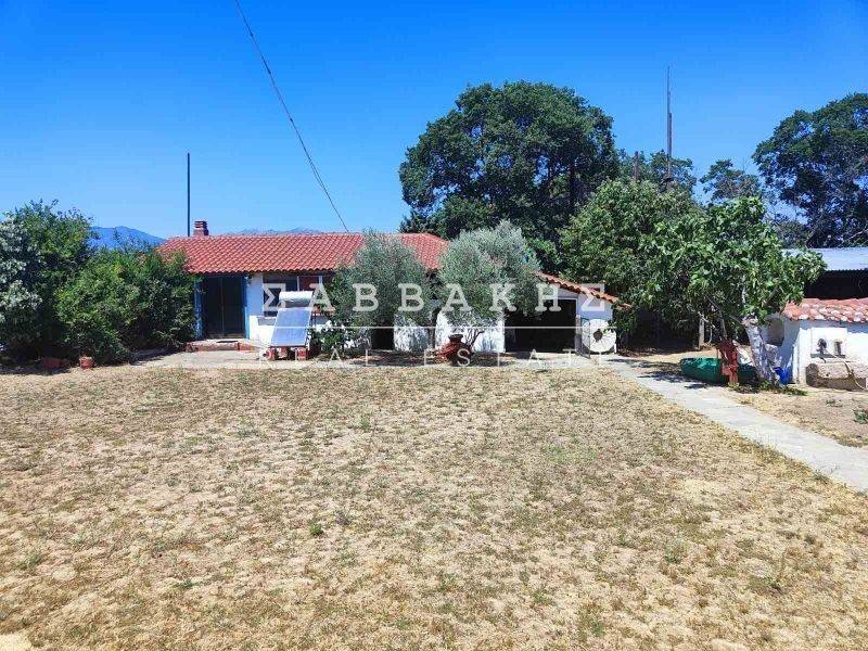 Εξωτερικός χώρος