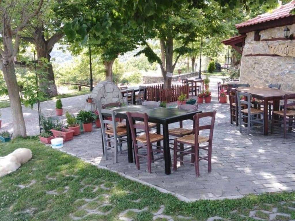 Πλαϊνή  όψη