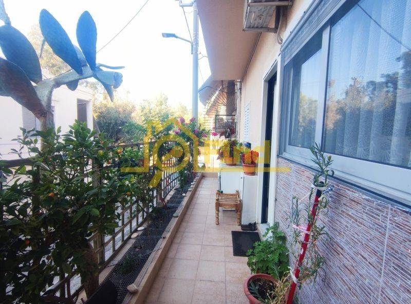 Εξωτερικός χώρος