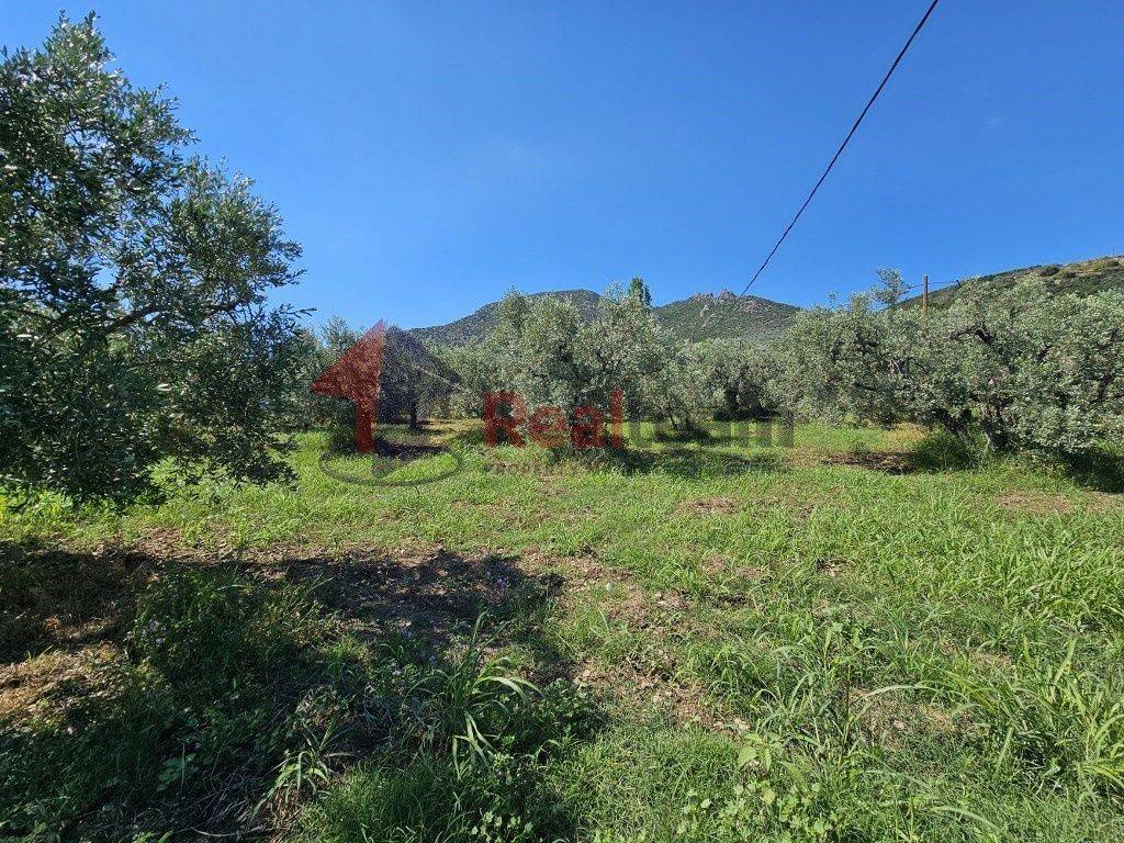 Εξωτερικοι χώροι