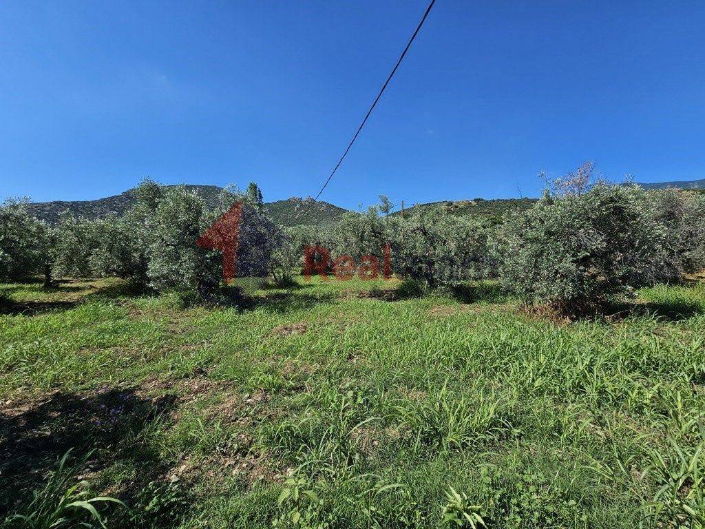 Εξωτερικοι χώροι