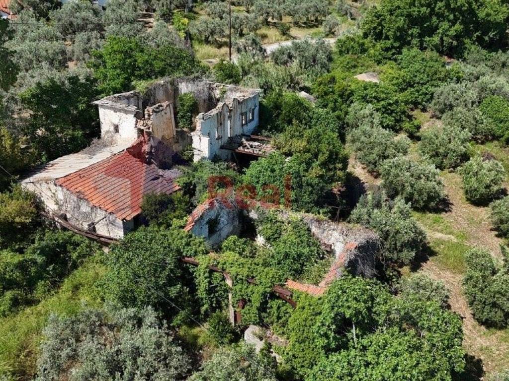 Εξωτερικοι χώροι