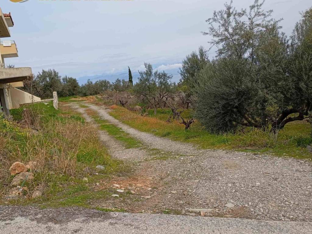 Είσοδος από την άσφαλτο για το οικόπεδο