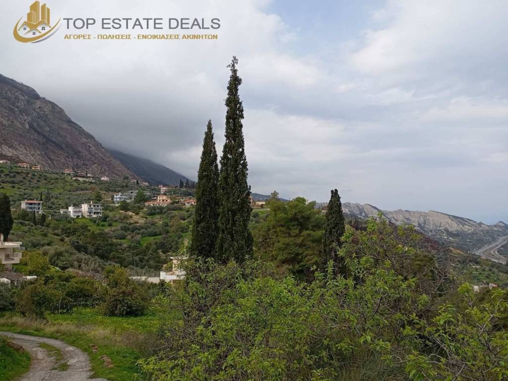 Άποψη του οικοπέδου