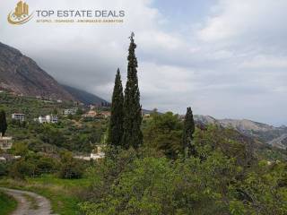 Άποψη του οικοπέδου