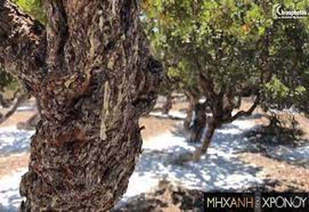 Εσωτερικοι χώροι