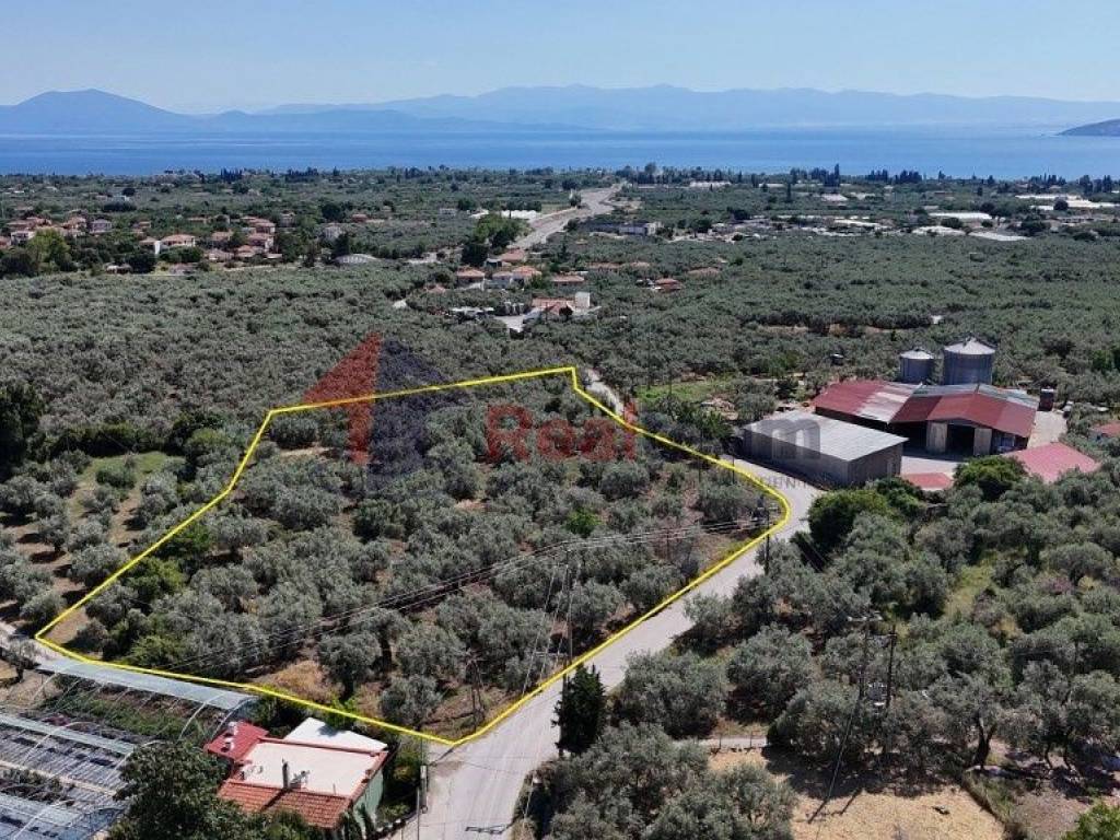 Εξωτερικοι χώροι