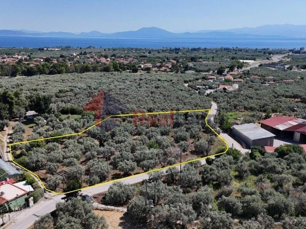 Εξωτερικοι χώροι