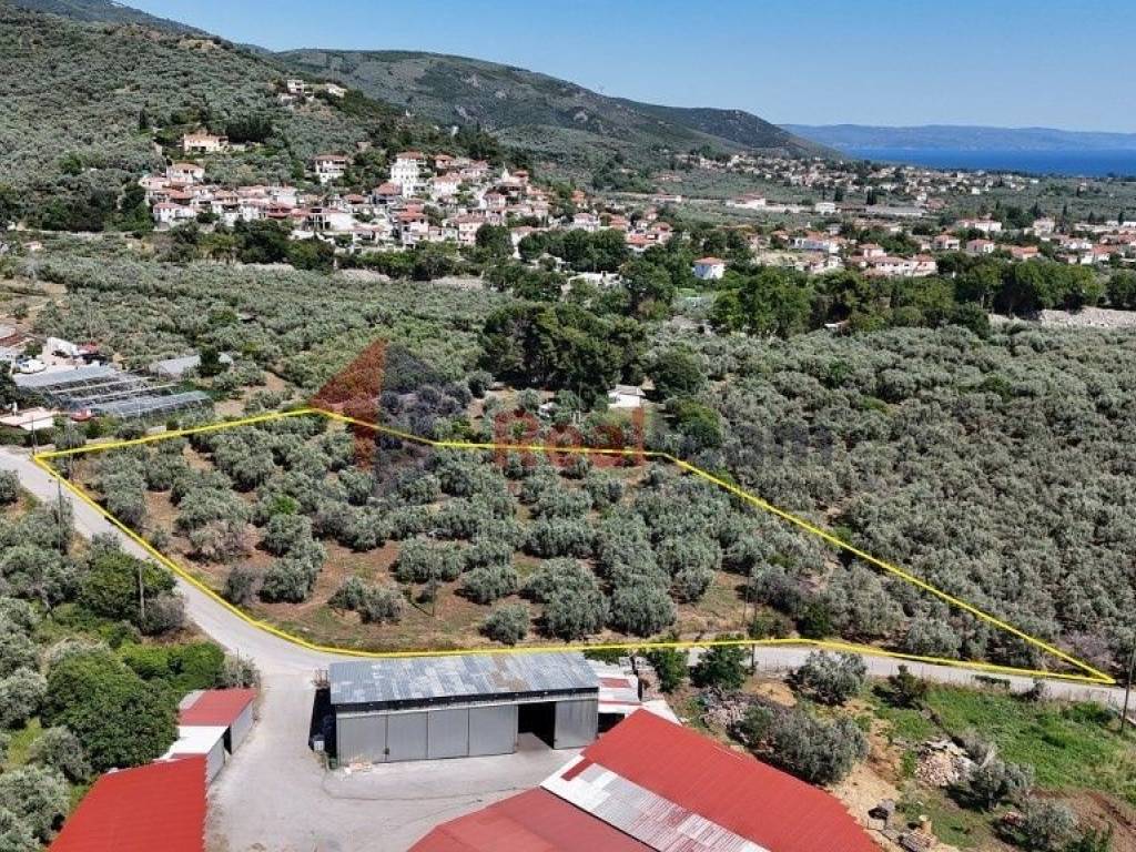 Εξωτερικοι χώροι