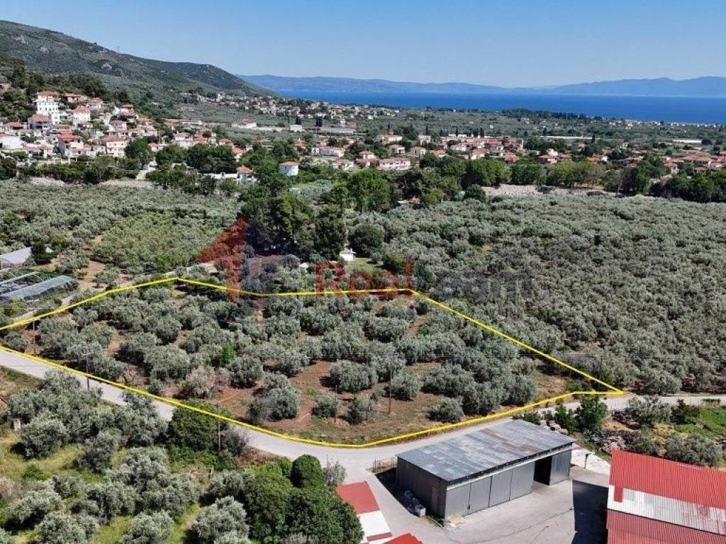 Εξωτερικοι χώροι