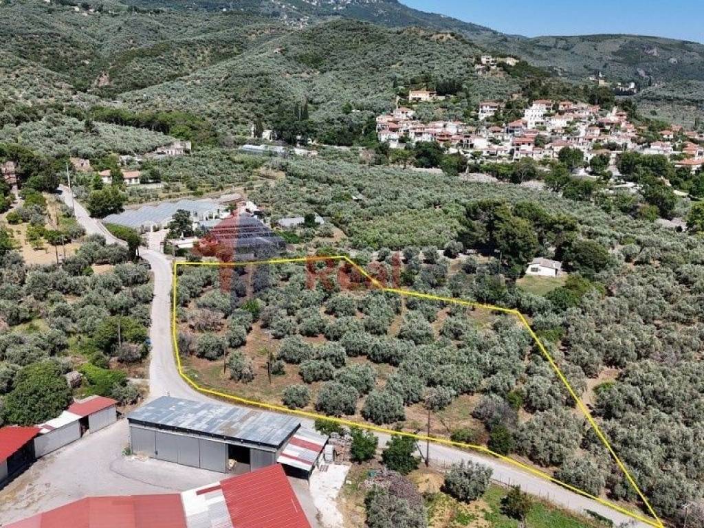 Εξωτερικοι χώροι