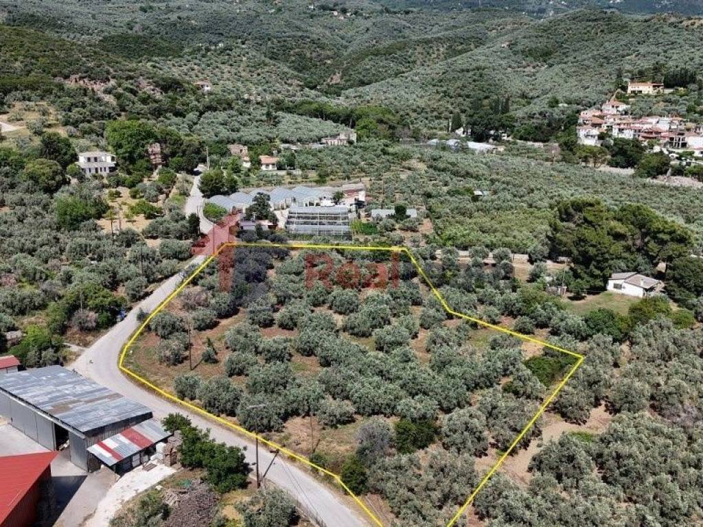 Εξωτερικοι χώροι