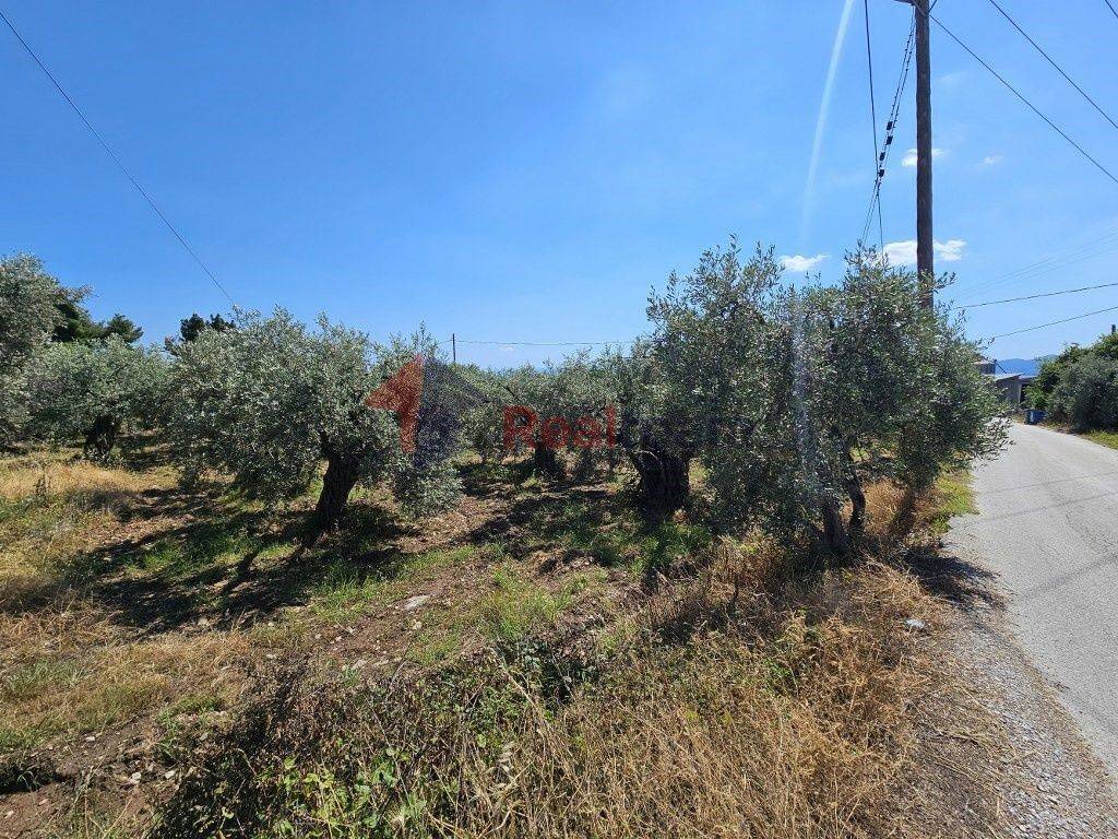 Εξωτερικοι χώροι