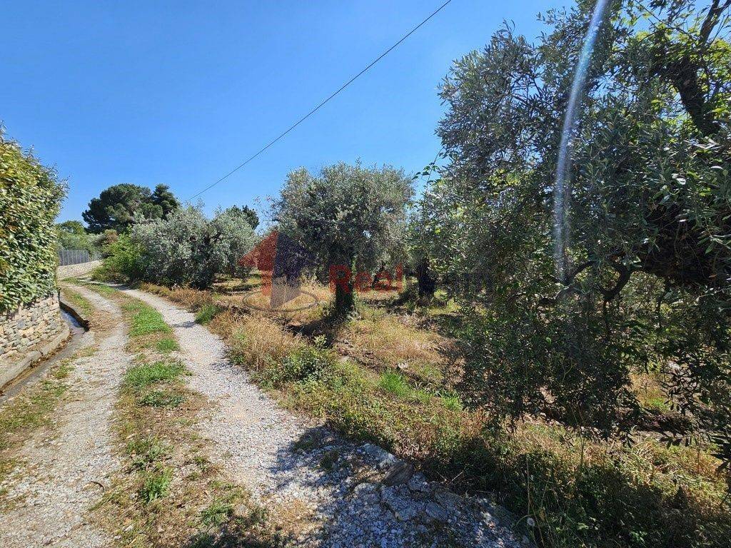 Εξωτερικοι χώροι