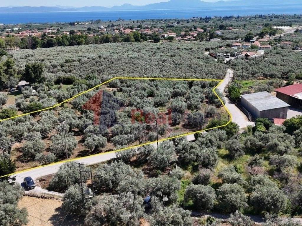 Εξωτερικοι χώροι