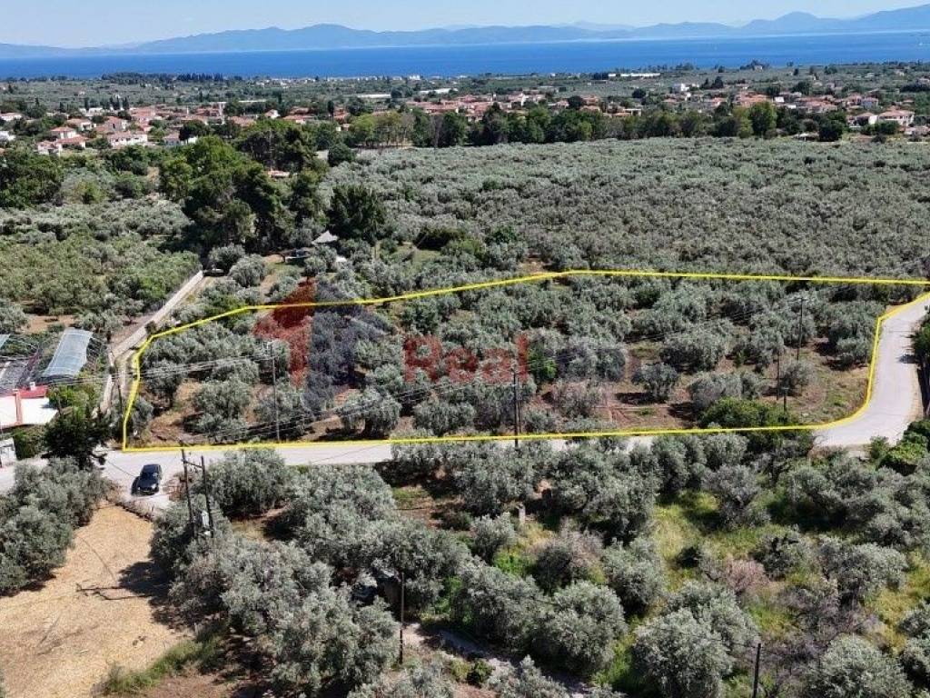 Εξωτερικοι χώροι