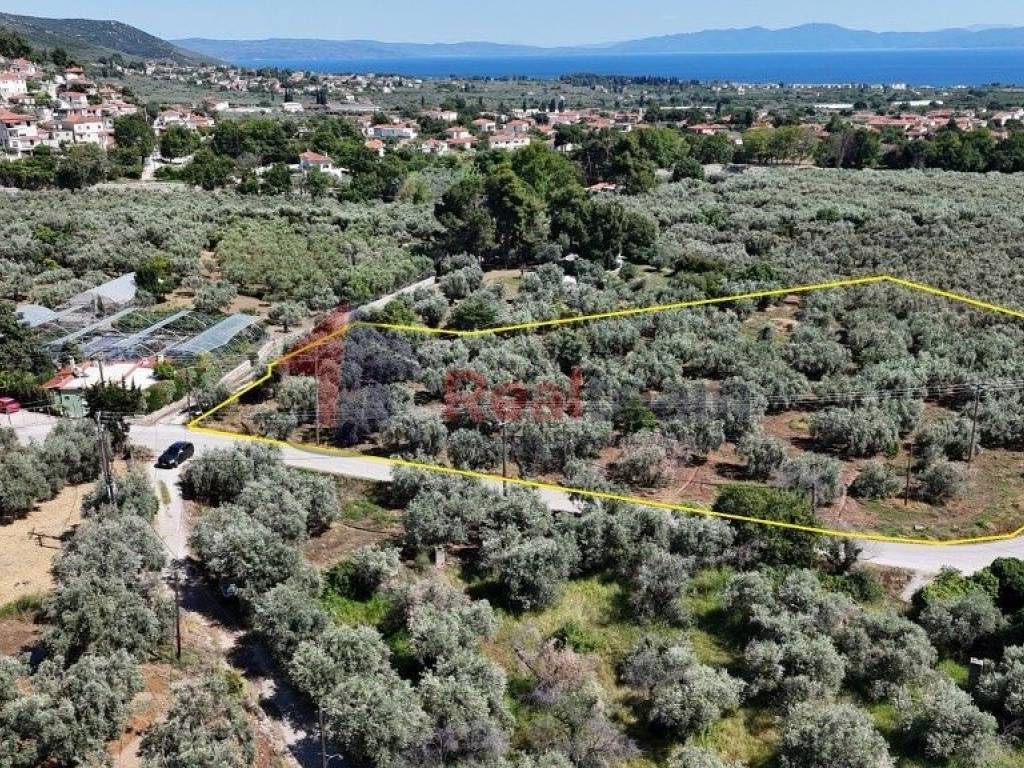 Εξωτερικοι χώροι