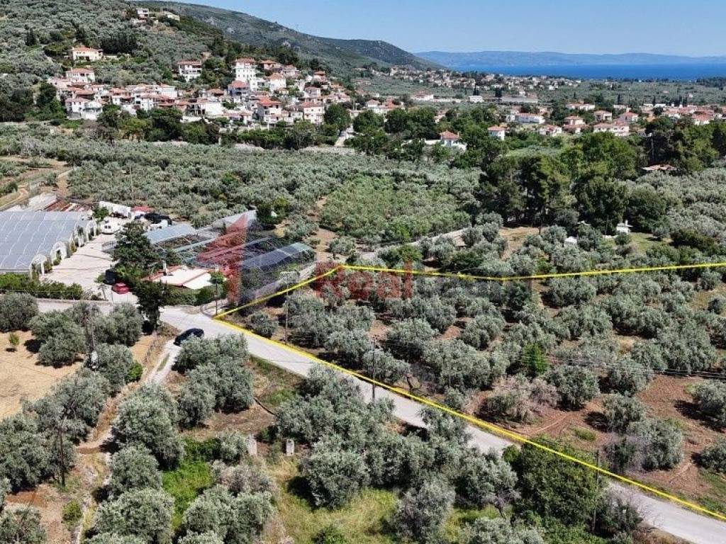 Εξωτερικοι χώροι