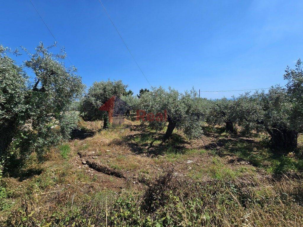 Εξωτερικοι χώροι