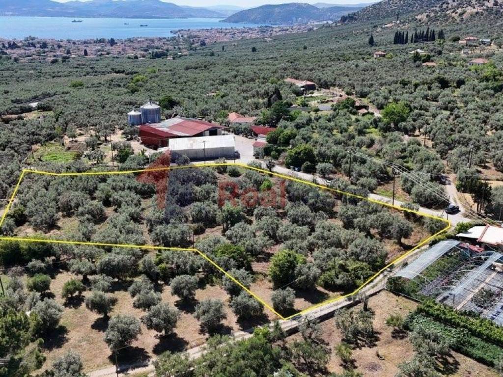 Εξωτερικοι χώροι