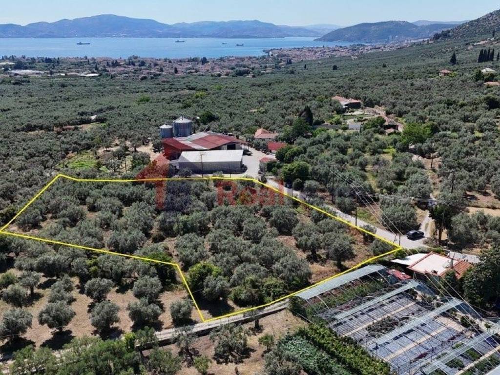 Εξωτερικοι χώροι