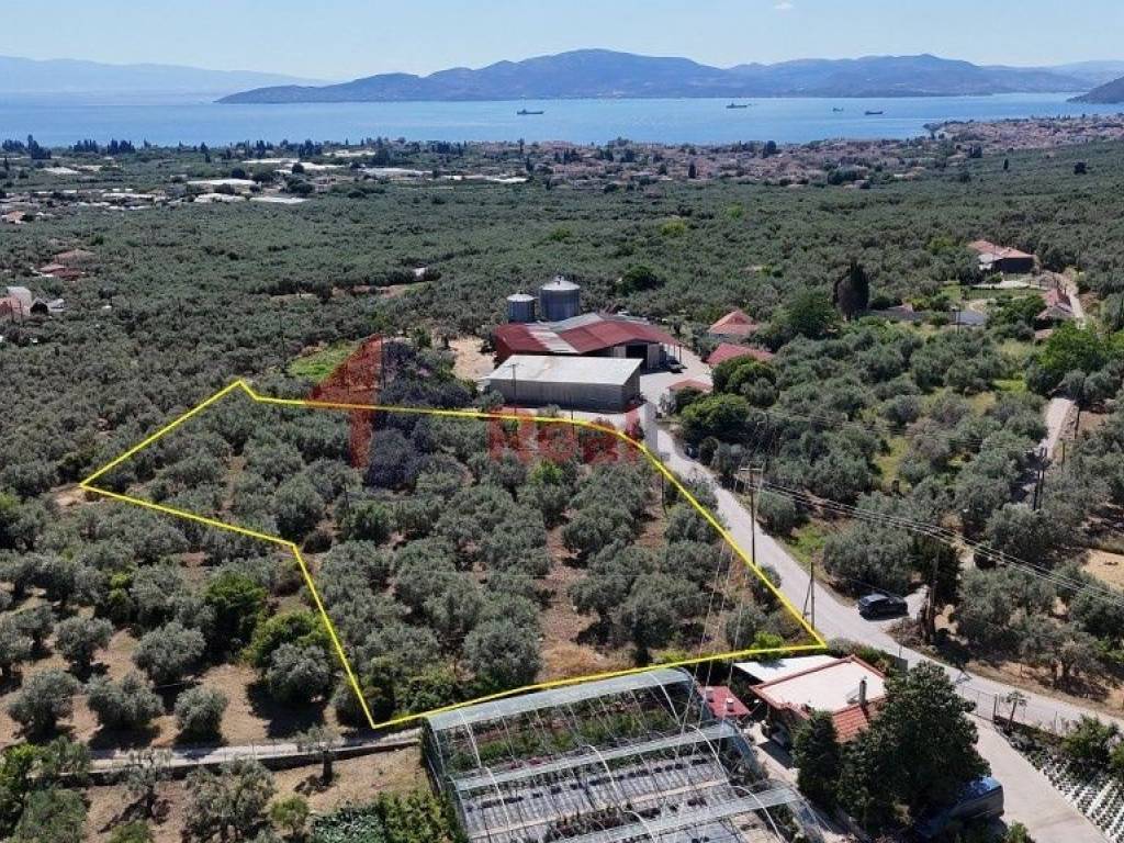 Εξωτερικοι χώροι