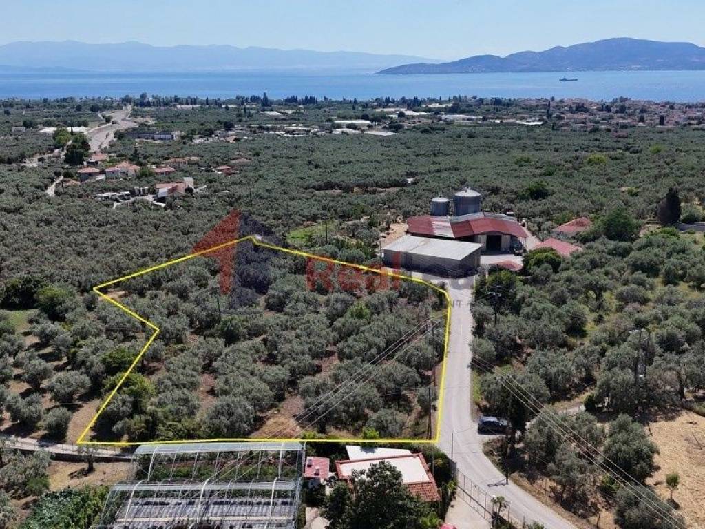 Εξωτερικοι χώροι