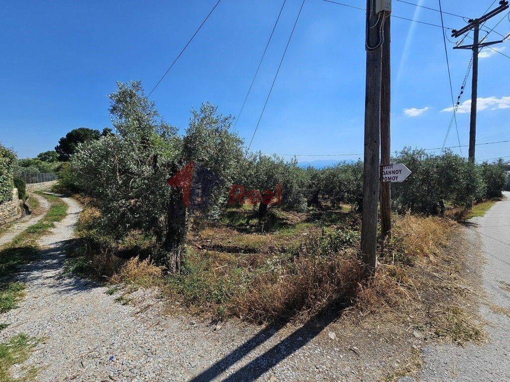 Εξωτερικοι χώροι