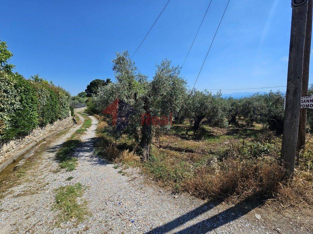 Εξωτερικοι χώροι