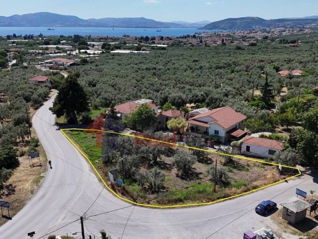 Εξωτερικοι χώροι