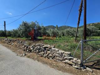 Εξωτερικοι χώροι