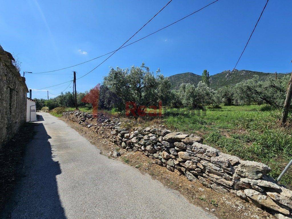 Εξωτερικοι χώροι