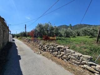 Εξωτερικοι χώροι