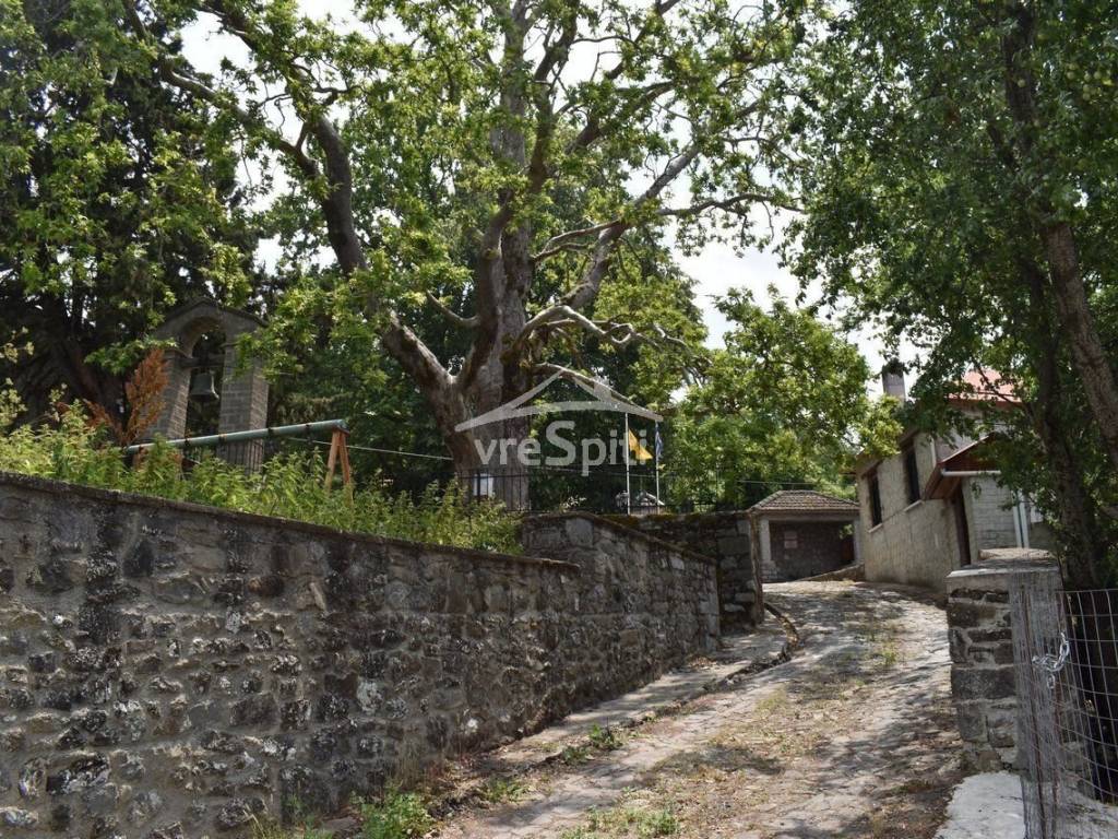 ΑΠΟΨΗ ΧΩΡΙΟΥ