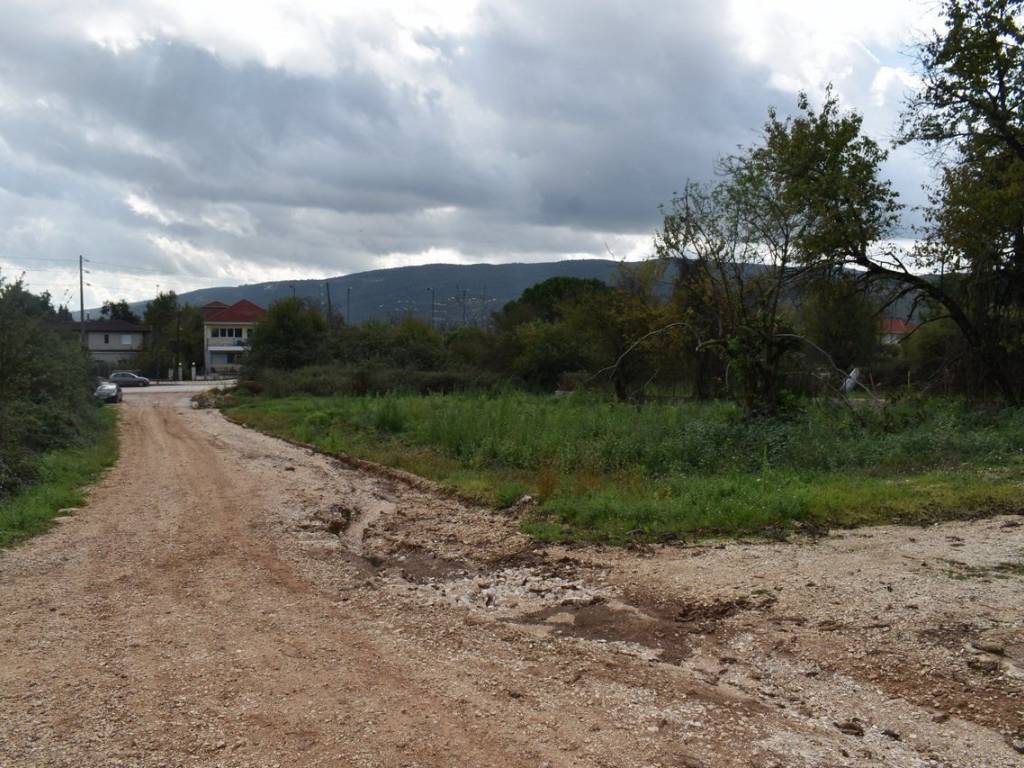 ΑΠΟΨΗ ΟΙΚΟΠΕΔΟΥ