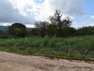 ΑΠΟΨΗ ΟΙΚΟΠΕΔΟΥ