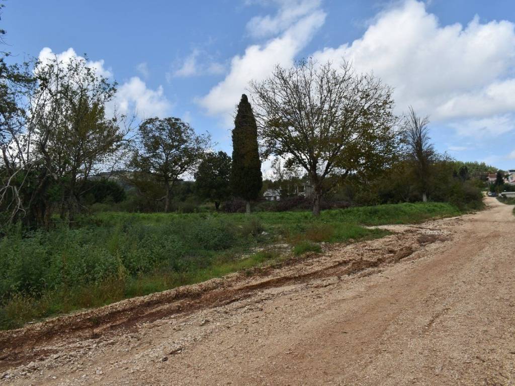 ΑΠΟΨΗ ΟΙΚΟΠΕΔΟΥ