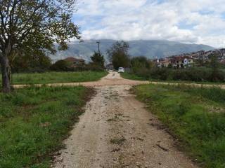 ΑΠΟΨΗ ΟΙΚΟΠΕΔΟΥ