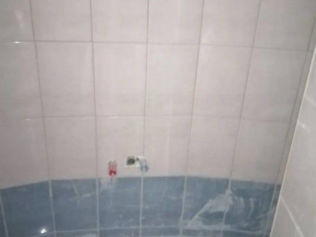 Forumland Real Estate, Mpanio