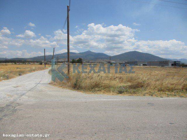 ΕΞΩΤΕΡΙΚΗ ΛΗΨΗ