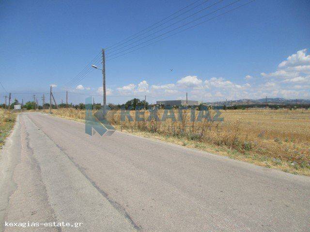 ΕΞΩΤΕΡΙΚΗ ΛΗΨΗ