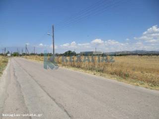 ΕΞΩΤΕΡΙΚΗ ΛΗΨΗ