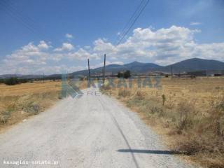 ΕΞΩΤΕΡΙΚΗ ΛΗΨΗ