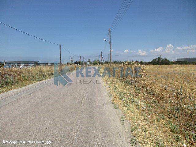 ΕΞΩΤΕΡΙΚΗ ΛΗΨΗ