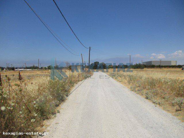 ΕΞΩΤΕΡΙΚΗ ΛΗΨΗ