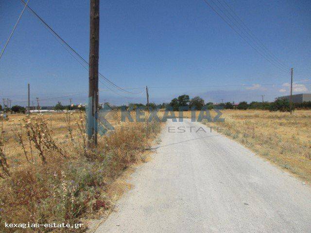 ΕΞΩΤΕΡΙΚΗ ΛΗΨΗ